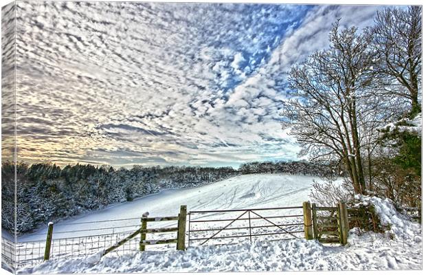Snowy landscape Canvas Print by Tony Bates