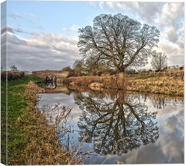 Kenet and Avon Canal Canvas Print by Tony Bates