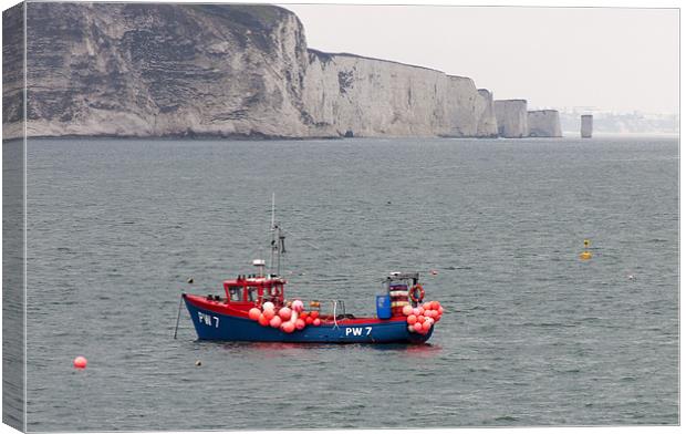 old harry's rocks Canvas Print by Tony Bates