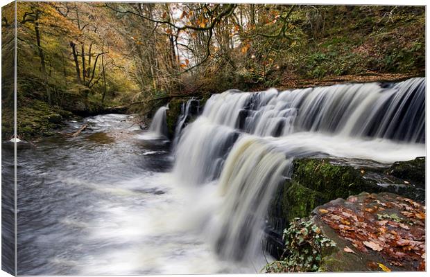 Brecon Beacons Waterfalls Canvas Print by Tony Bates