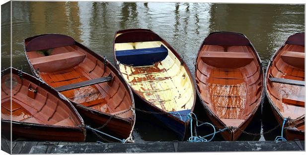 Oxford rowing boats Canvas Print by Tony Bates