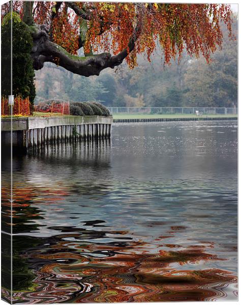  Temple Island Henley Canvas Print by Tony Bates