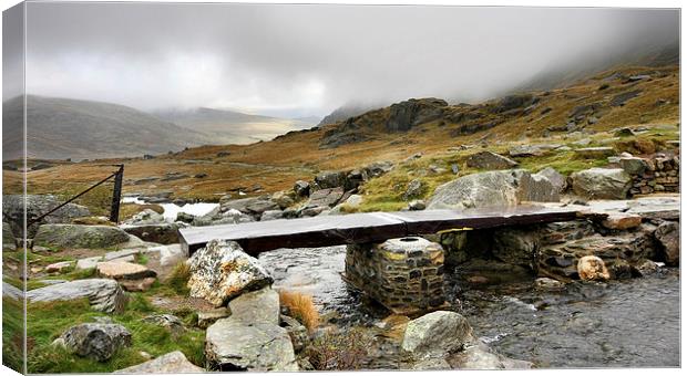  Footpath to the Devils Kitchen north Wales Canvas Print by Tony Bates