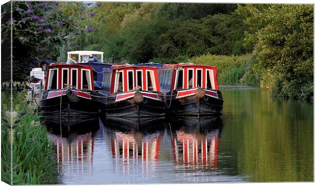  Kennet and avon long boats at Aldermaston. Canvas Print by Tony Bates