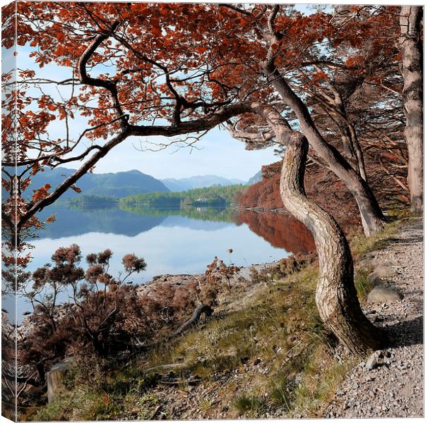  Derwent water Cumbria Canvas Print by Tony Bates