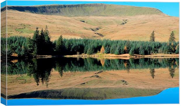  Beacons Reservoir Canvas Print by Tony Bates