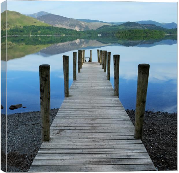 Derwent water jetty Canvas Print by Tony Bates