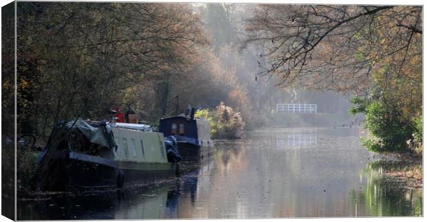 Kennet and Avon Canal narrow boats Canvas Print by Tony Bates