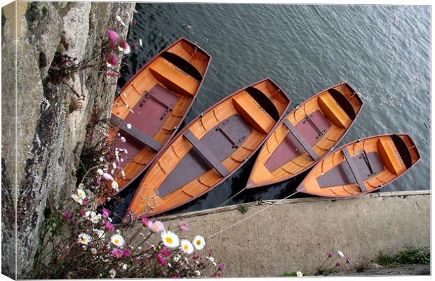 Row Boats Canvas Print by Tony Bates