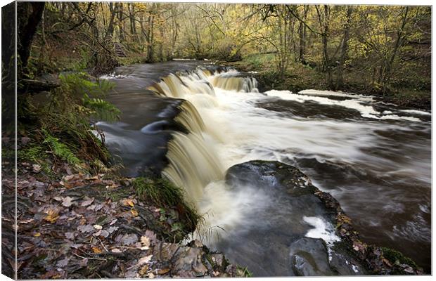 Nedd Fechan Canvas Print by Tony Bates