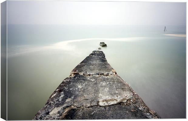 Sea Jetty Canvas Print by Tony Bates