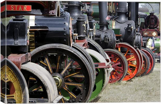 Traction engine line up Canvas Print by Tony Bates