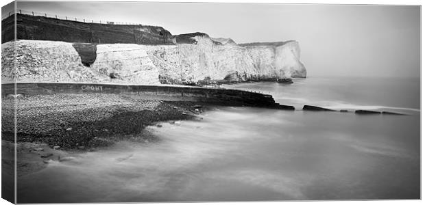 Seaford cliffs Canvas Print by Tony Bates