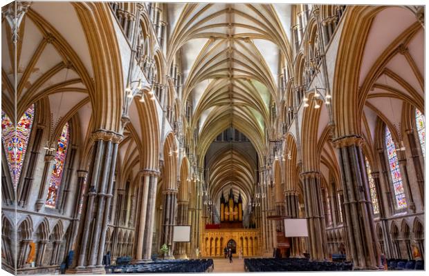 Lincoln Cathedral Canvas Print by Tony Bates