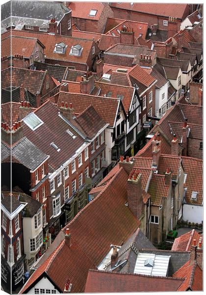 York roof tops Canvas Print by Tony Bates