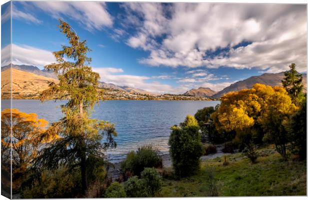Queenstown Canvas Print by Tony Bates