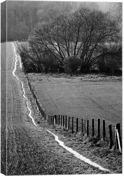 Footpath Canvas Print by Tony Bates