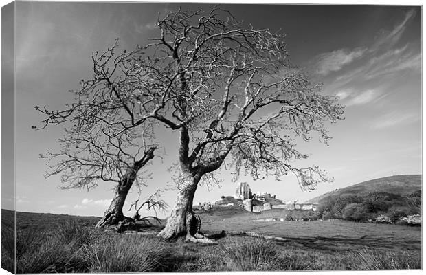 Corfe castle and trees Canvas Print by Tony Bates