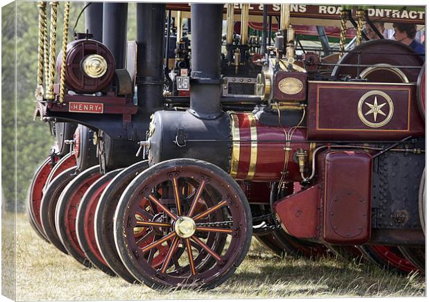 Steam traction engine line up Canvas Print by Tony Bates