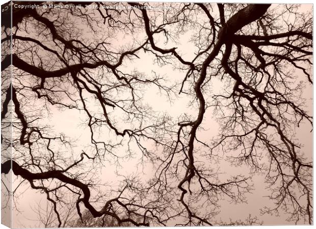 Tree brains Canvas Print by Marja Ozwell