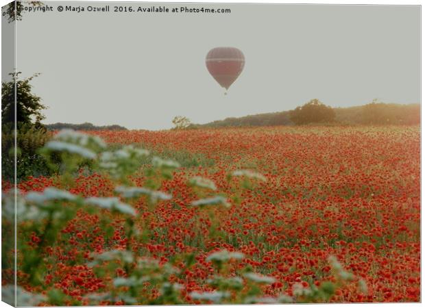 Poppies and balloons Canvas Print by Marja Ozwell