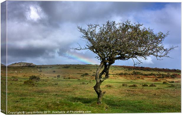 Rainbow over the Cheesewring Canvas Print by Lucy Antony