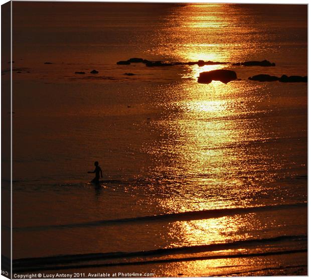 Sunset swimmer Canvas Print by Lucy Antony