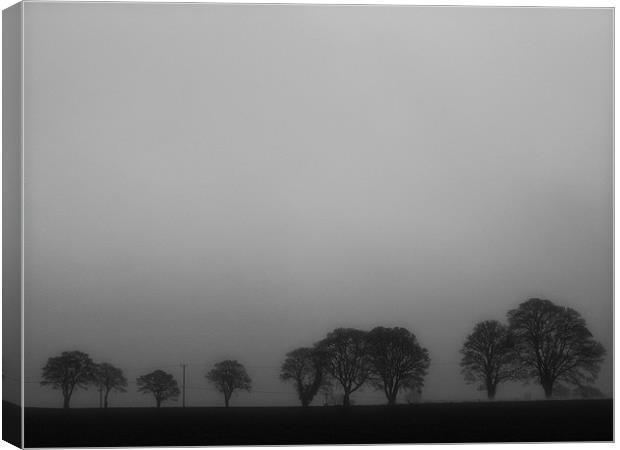 Trees in the mist Canvas Print by Lucy Antony