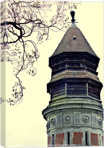 The Dovecote Canvas Print by Lucy Antony