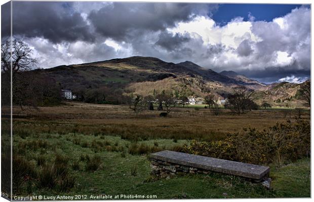 Snowdonia National Park 4 Canvas Print by Lucy Antony