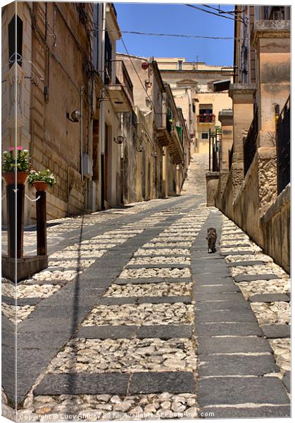 Sicilian alley cat Canvas Print by Lucy Antony