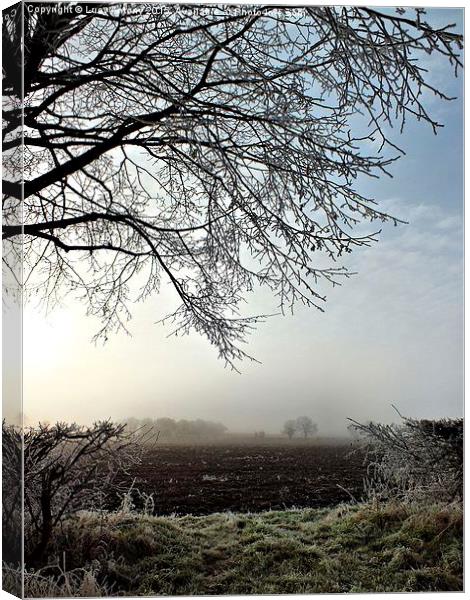  A misty morn in Oxfordshire Canvas Print by Lucy Antony