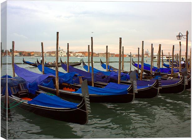 Evening Gondolas in Venice Canvas Print by Lucy Antony