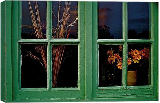  GREEN WINDOW Canvas Print by Bruce Glasser
