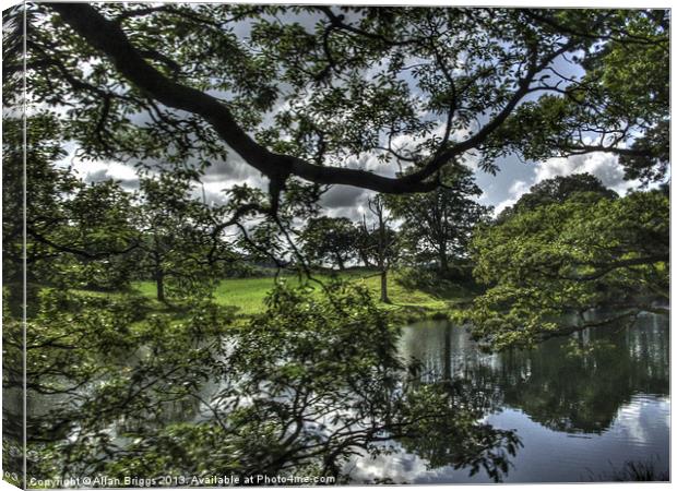 Lake Windermere Canvas Print by Allan Briggs