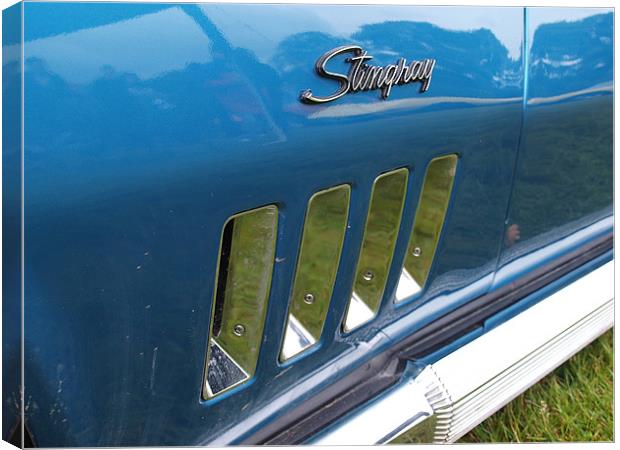 Blue Corvette Stingray side grill Canvas Print by Allan Briggs