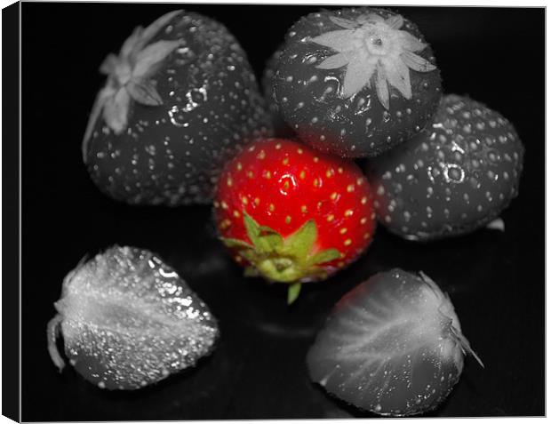Strawberries Canvas Print by Madeline Harris