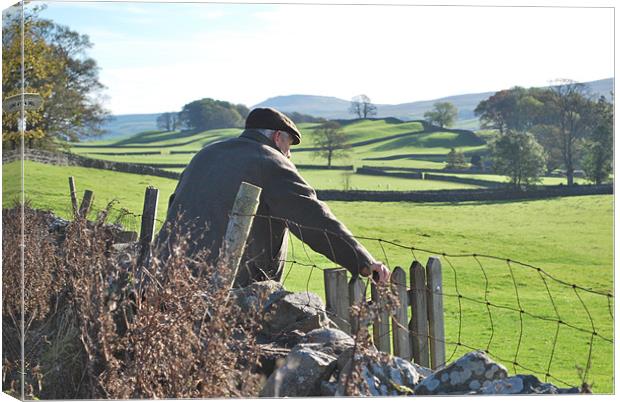 Famer entering field in Yorkshire Dales Canvas Print by Madeline Harris
