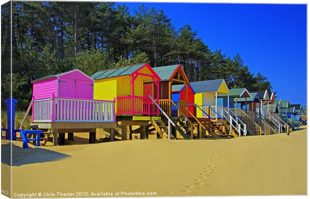 Beach Huts and Pine Trees 2 Canvas Print by Chris Thaxter