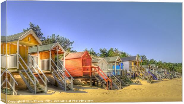 Beach Huts and Pine Trees 3 Canvas Print by Chris Thaxter
