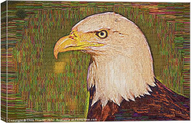 Bald Eagle Embroidered Canvas Print by Chris Thaxter