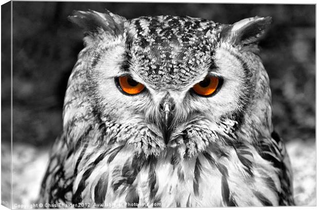 The Eyes have it Canvas Print by Chris Thaxter
