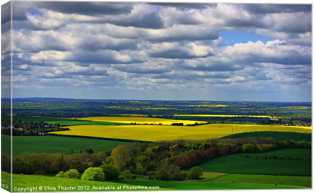 Fields of Gold 2 Canvas Print by Chris Thaxter
