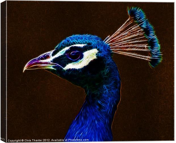 Fractalius Peacock Canvas Print by Chris Thaxter