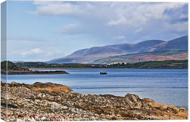 View of the Isle of Arran Canvas Print by Chris Thaxter