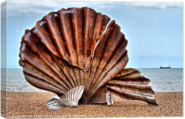 The Resilient Scallop Shell Canvas Print by Chris Thaxter