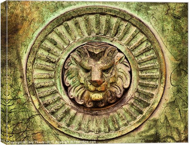 Majestic Lion Guardian Canvas Print by Chris Thaxter