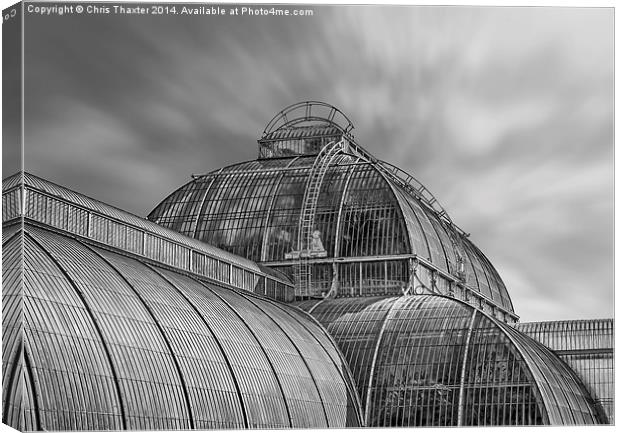 Temperate House Kew Gardens Black and White Canvas Print by Chris Thaxter
