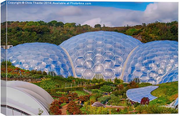 Eden Project Biomes Canvas Print by Chris Thaxter