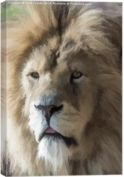  Lion Portrait Watercolour Canvas Print by Chris Thaxter